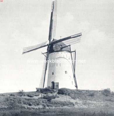 Noord-Brabant, 1936, Hoogerheide, Molens. Korenmolen (beltmolen) bij Hoogerheide (N.-B.)
