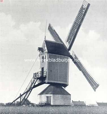 Molens. Standardmolen te Ossendrecht (N.-B.)