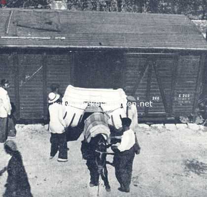 Spanje, 1936, Onbekend, Een dag aan de Guadaira. Een broodkorf wordt op den ezelsrug geheschen