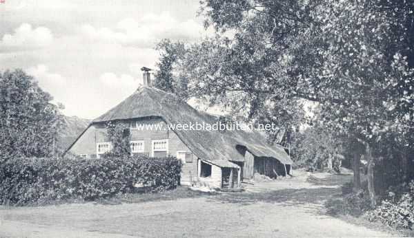 Overijssel, 1936, Staphorst, In het land van Staphorst en Rouveen. Boerenwoning met 